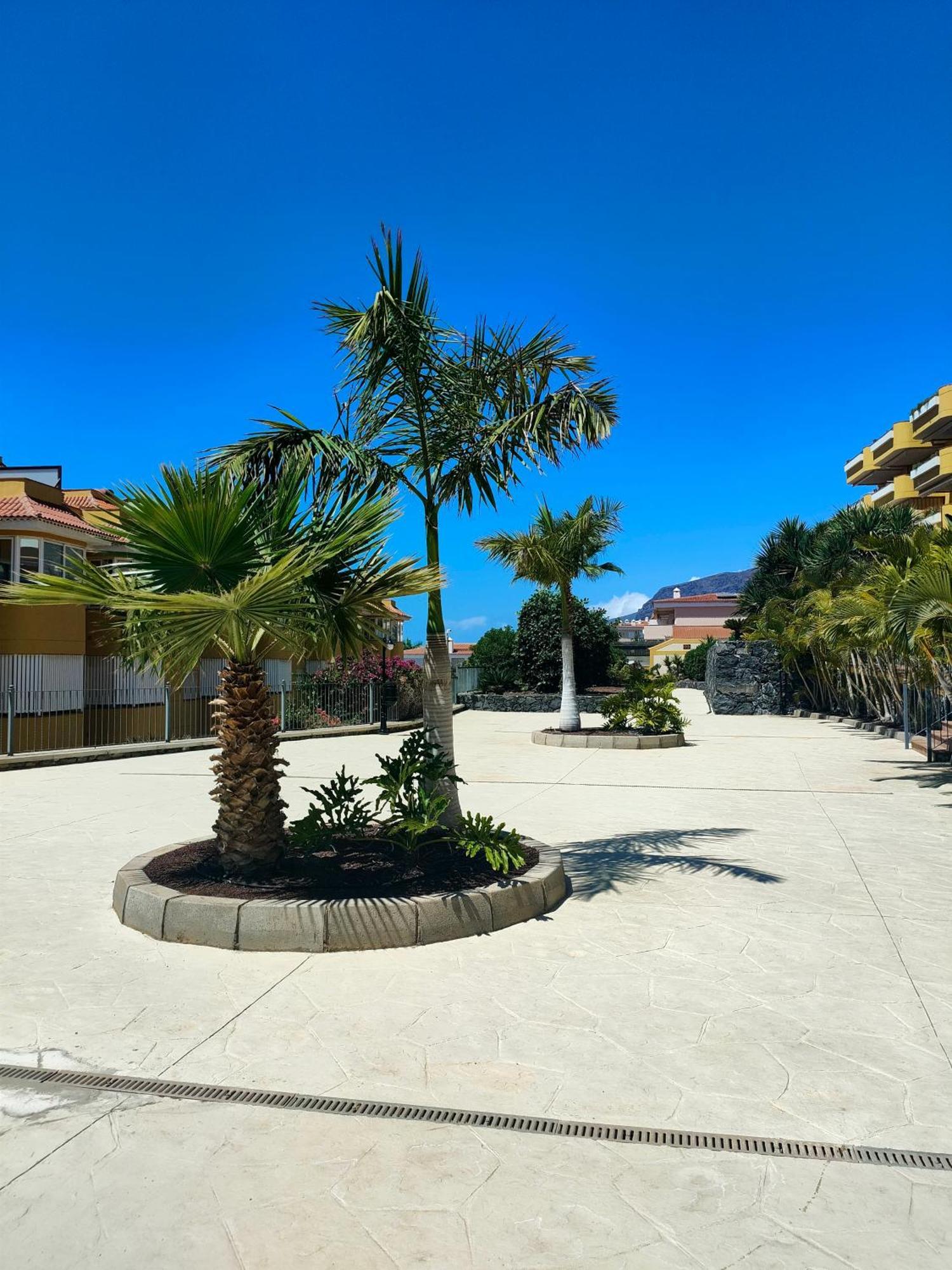 Belvedere Penthouse Puerto de Santiago  Eksteriør billede